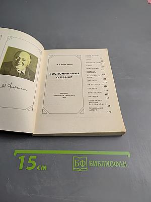 Воспоминания о камне