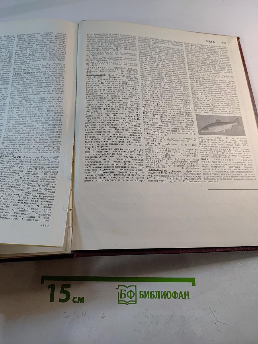Большая Советская Энциклопедия, Том 28 (Франкфурт – Чага)