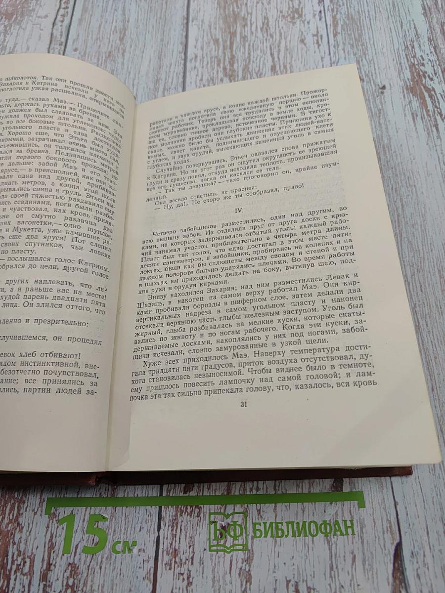 Жерминаль. Том 10