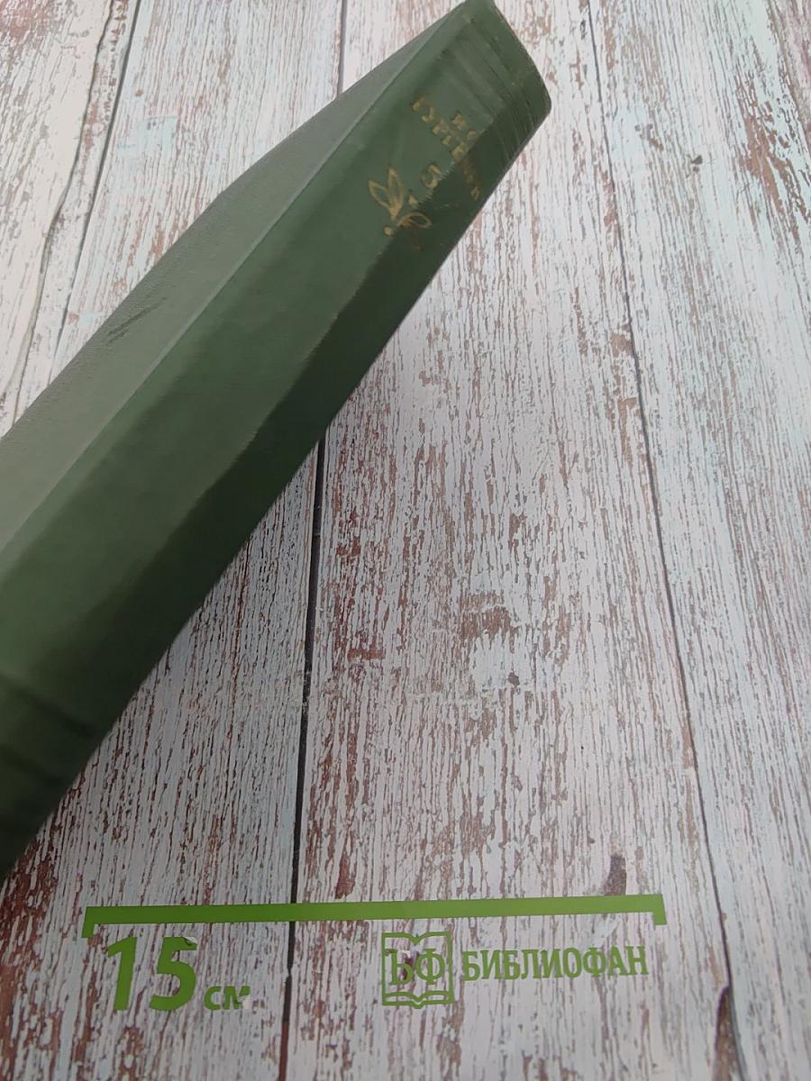 Собрание сочинений. Том пятый. Повести и рассказы