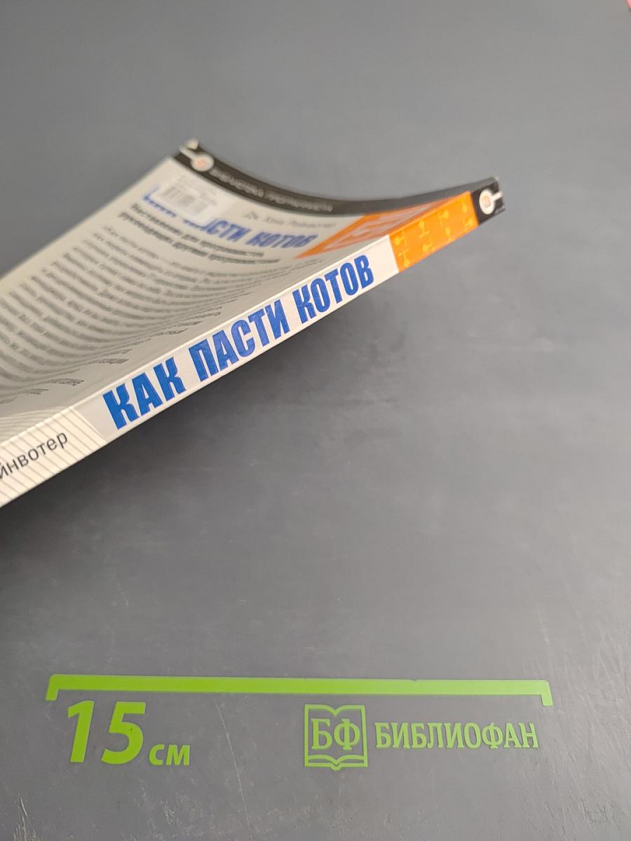 Как пасти котов