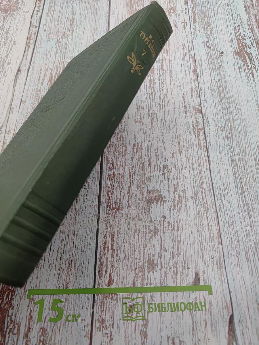 Собрание сочинений. Том седьмой. Повести и рассказы 1863-1870 годов