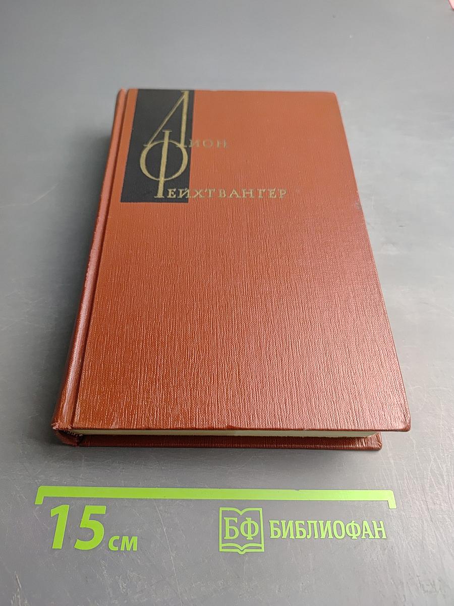 Собрание сочинений Том четвертый: Успех. Книги 4-5. Семья Опперман