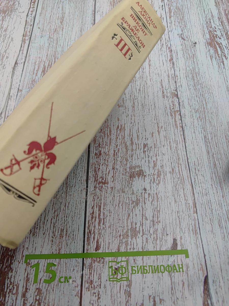 Виконт де Бражелон или Десять лет спустя. Части 5, 6