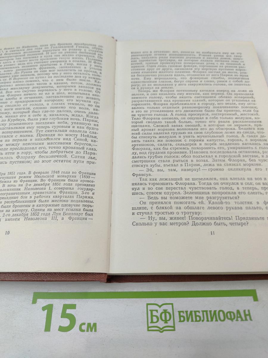 Чрево Парижа. Том 2