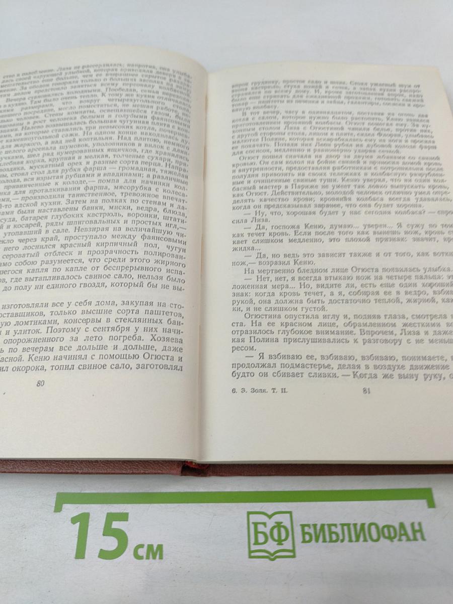 Чрево Парижа. Том 2