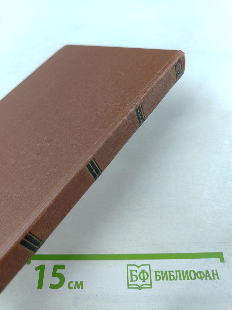 Чрево Парижа. Том 2