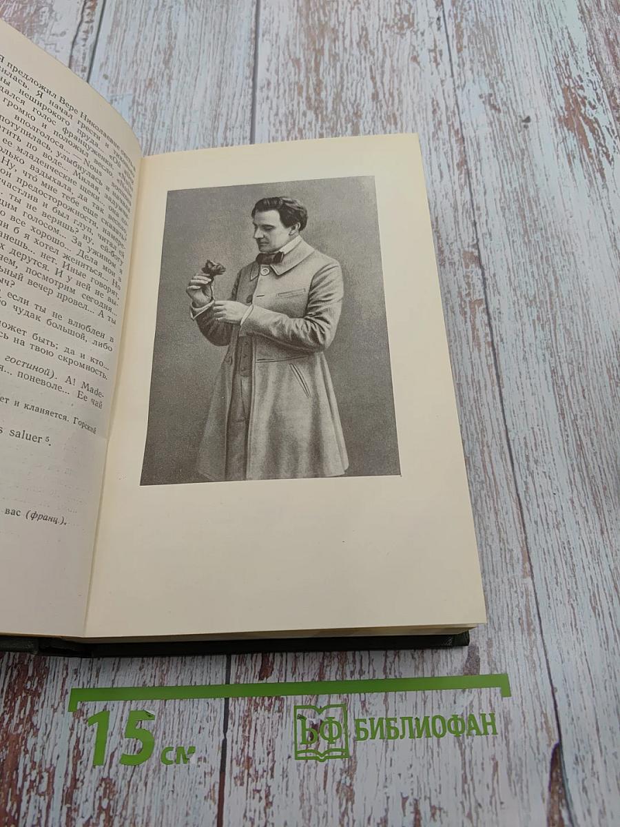 Собрание сочинений. Том девятый. Сцены и комедии 1849-1852 годов