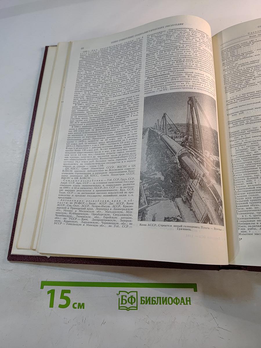 Ежегодник Большой Советской Энциклопедии 1981