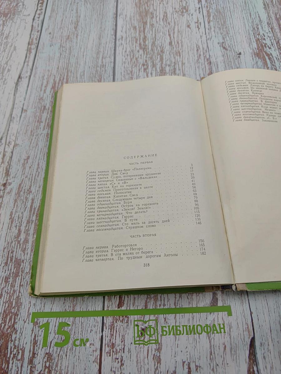 Пятнадцатилетний капитан