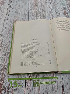 Пятнадцатилетний капитан