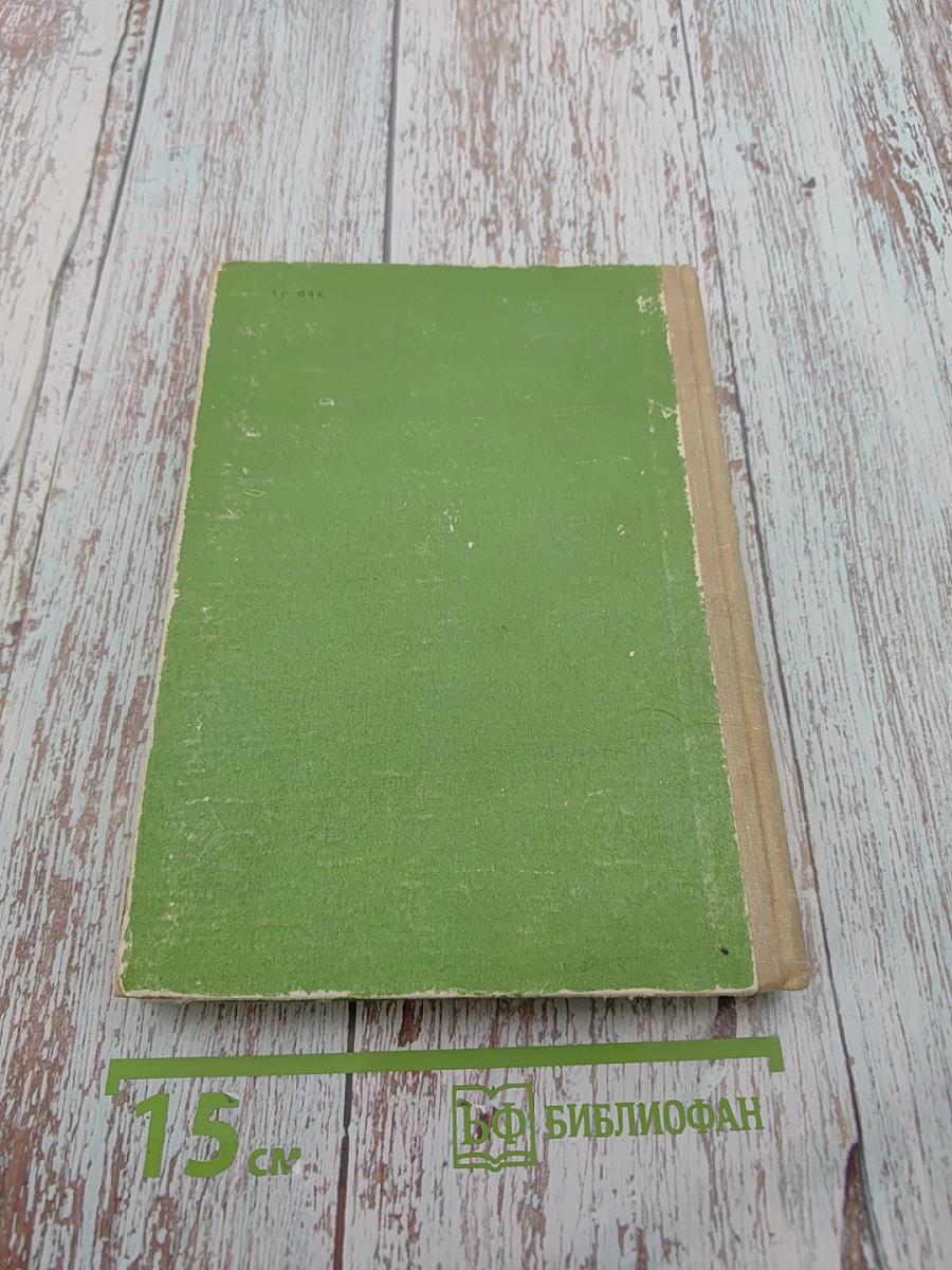 Пятнадцатилетний капитан