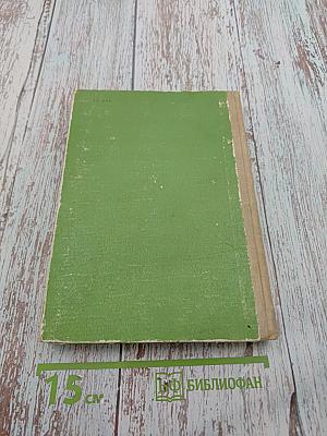 Пятнадцатилетний капитан