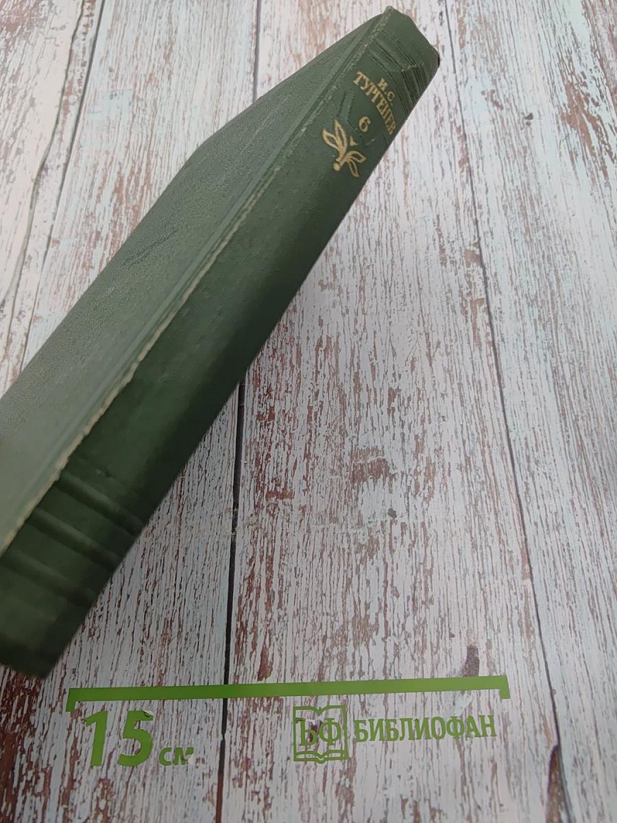 Собрание сочинений. Том шестой: Повести и рассказы 1854-1860 годов