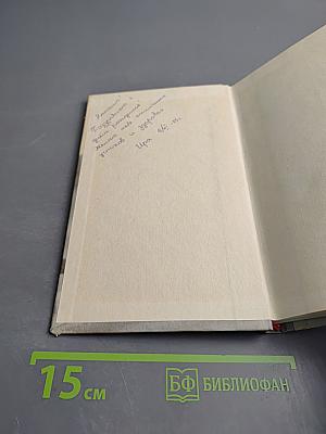 У стен Ленинграда. Записки снайпера