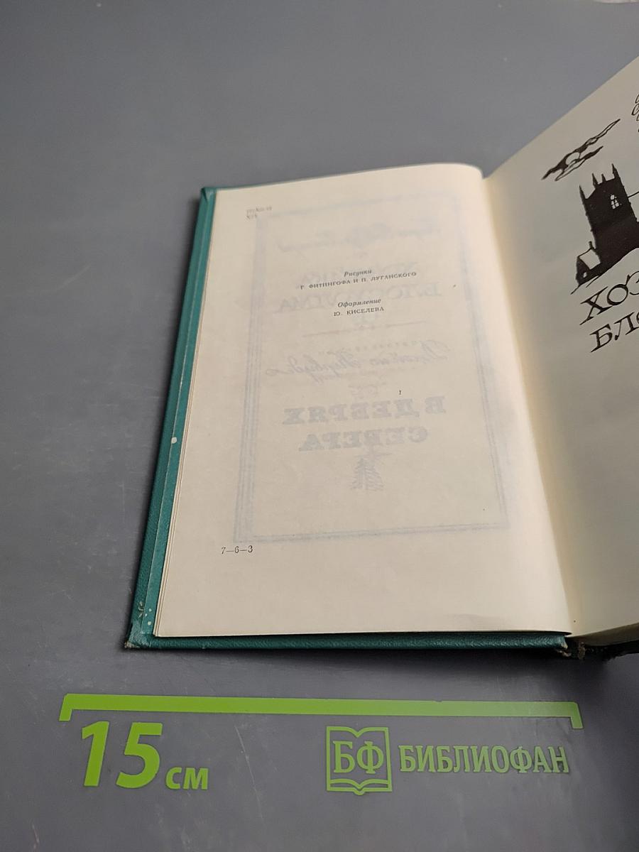 Хозяйка Блосхолма. В дебрях Севера