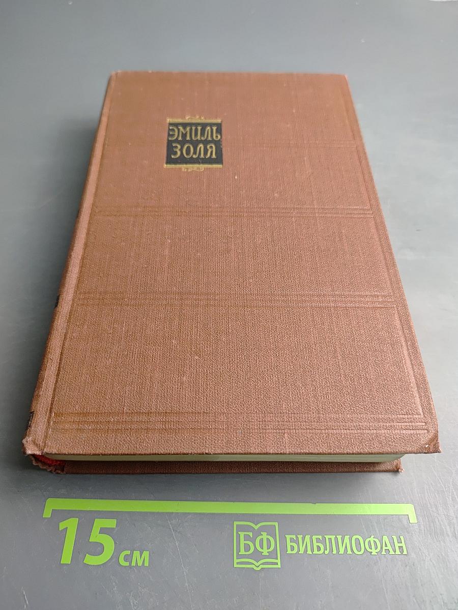 Дамское счастье. Радость жизни