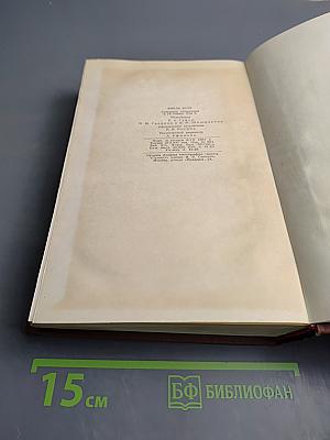 Дамское счастье. Радость жизни