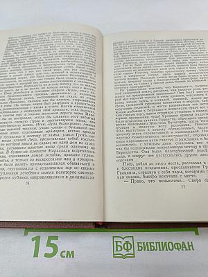 Собрание сочинений. Том 17. Лурд