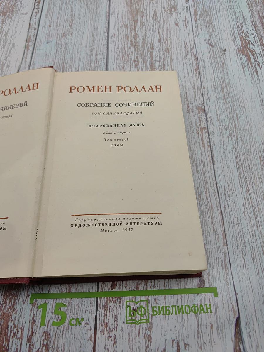 Очарованная душа. Книга четвёртая: Роды