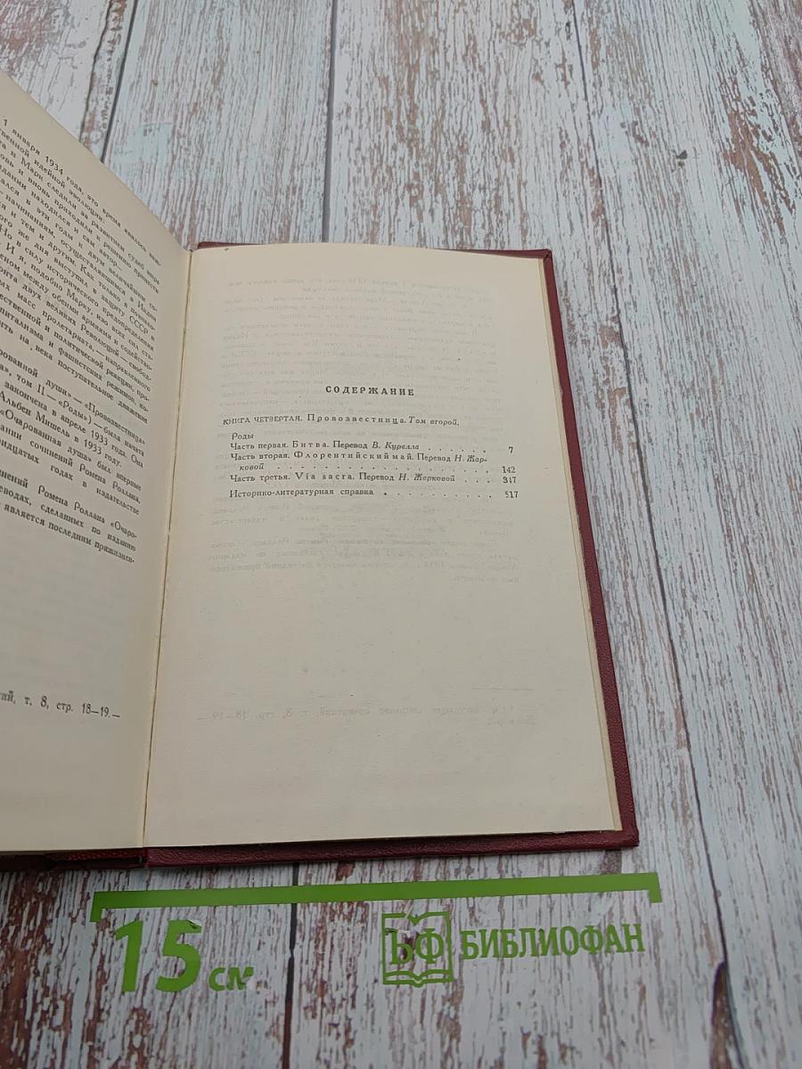 Очарованная душа. Книга четвёртая: Роды