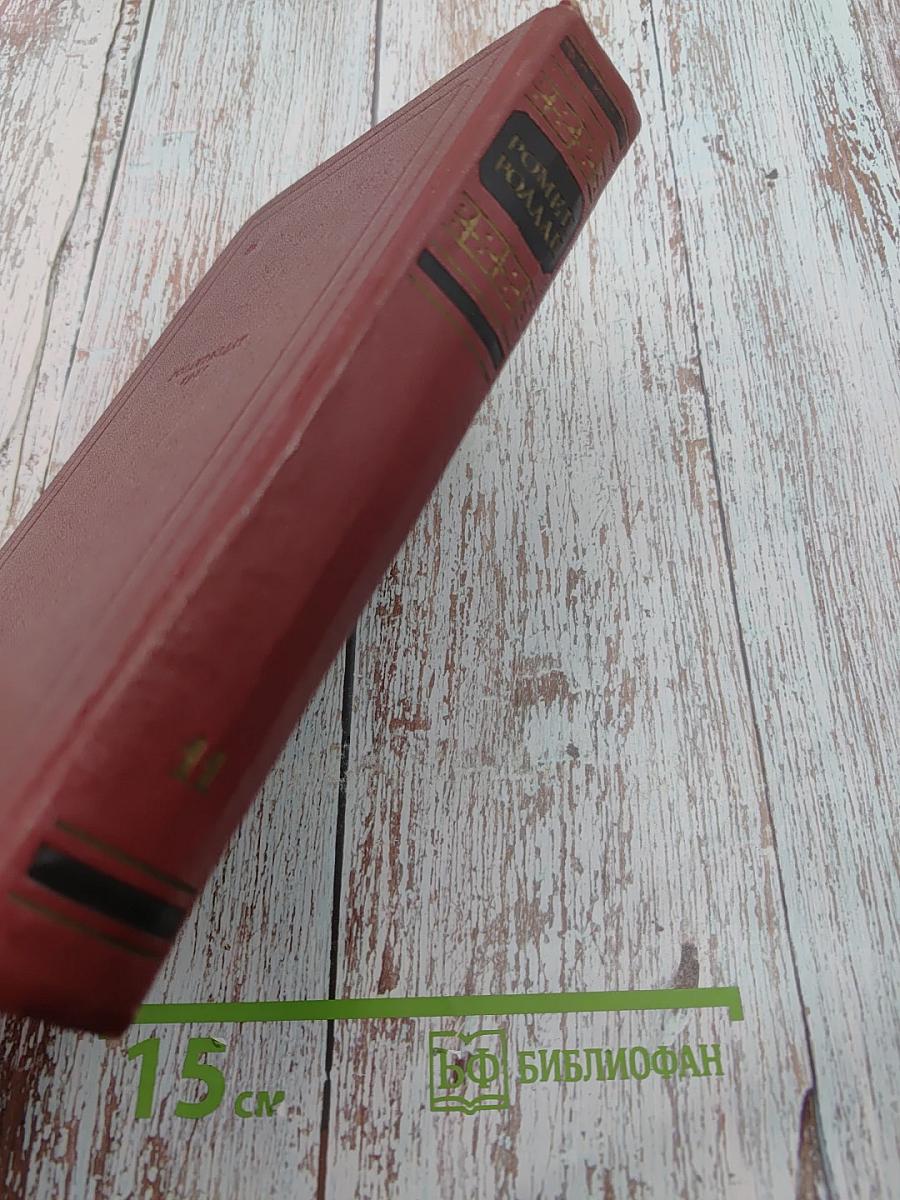 Очарованная душа. Книга четвёртая: Роды