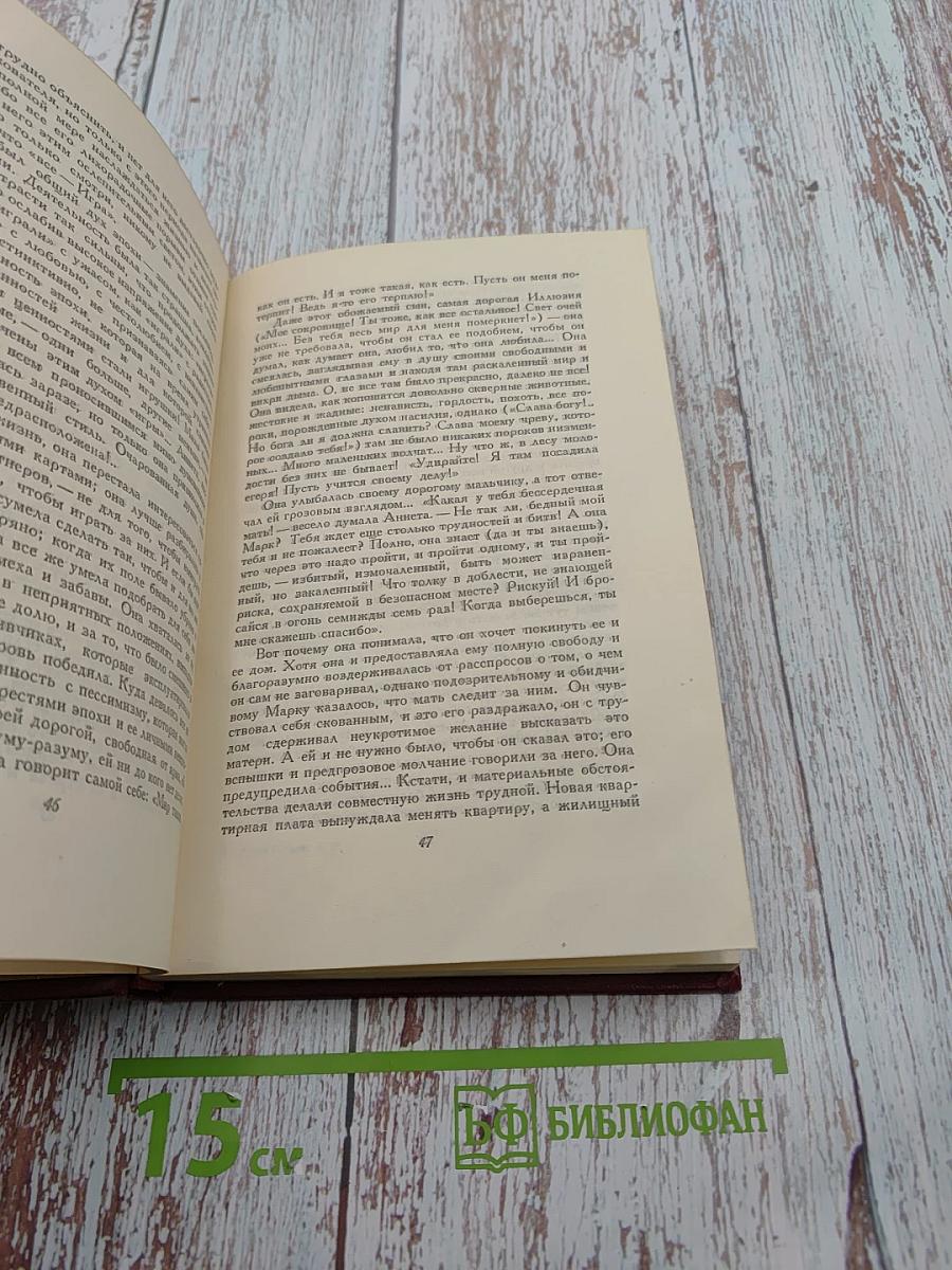 Собрание сочинений. Том десятый. Очарованная душа. Книга четвертая: Смерть одного мира