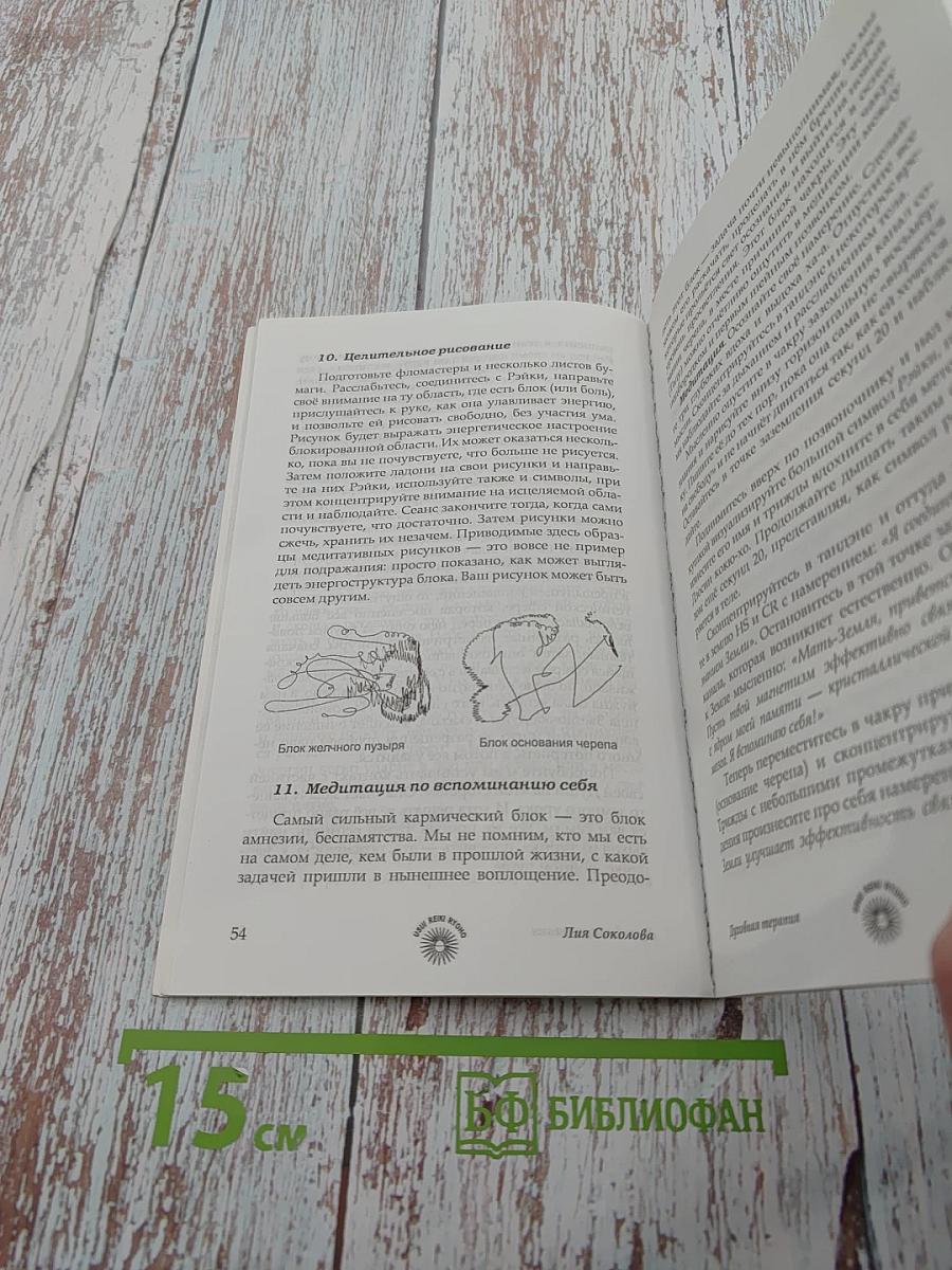 Рэйки Риохо. Духовная терапия