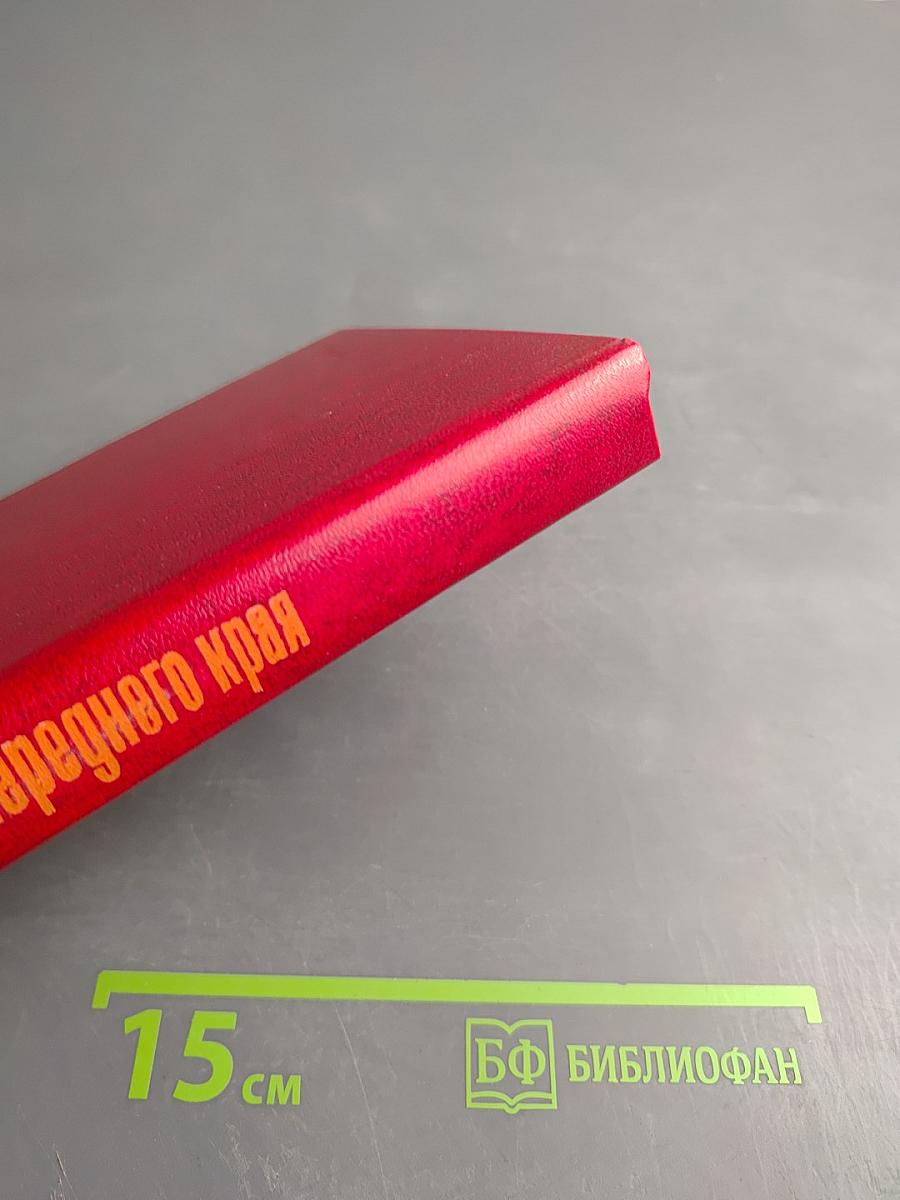 Комсорги переднего края