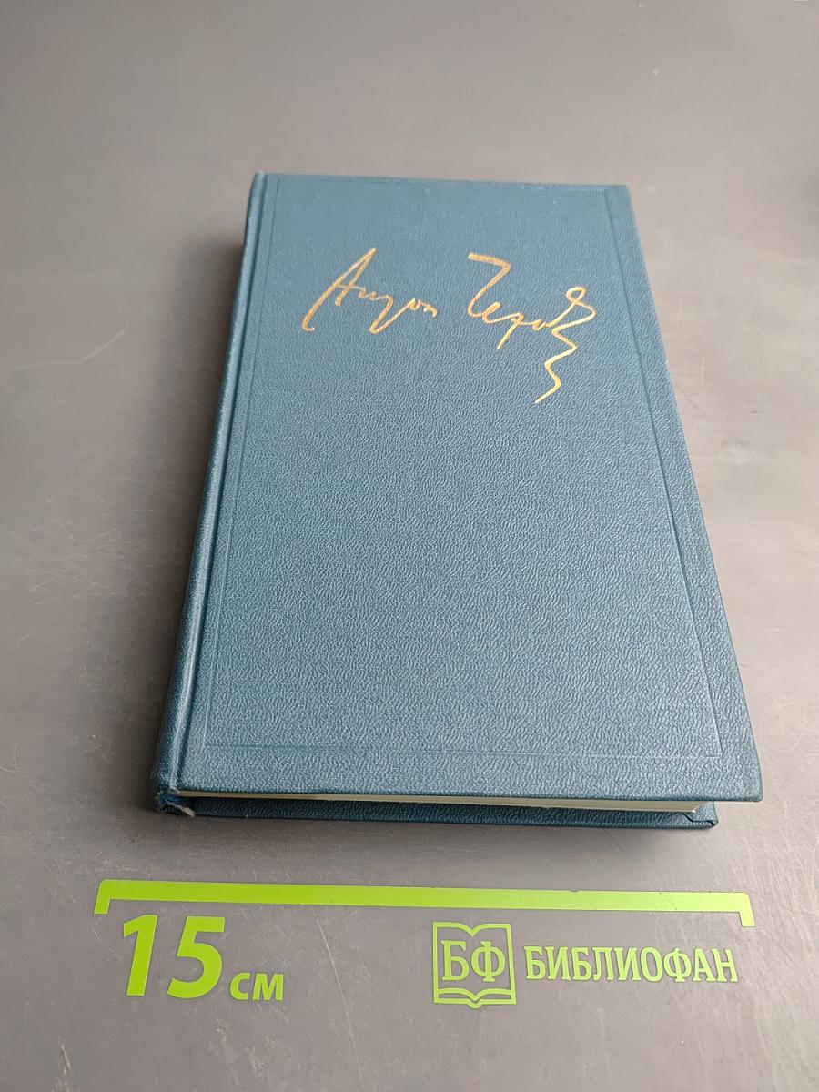 Полное собрание сочинений и писем. Том четвертый. 1880-1888