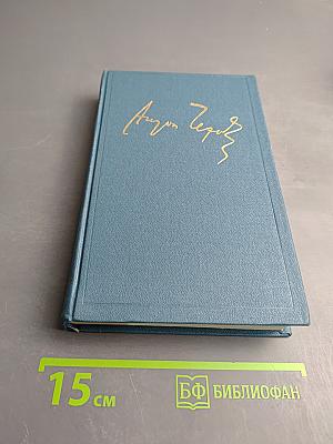 Полное собрание сочинений и писем. Том четвертый. 1880-1888