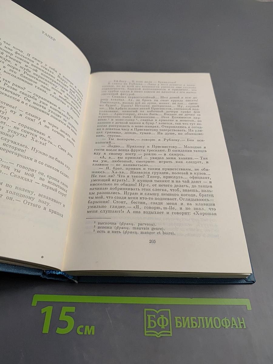 Полное собрание сочинений и писем. Том четвертый. 1880-1888