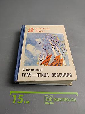 Грач — птица весенняя