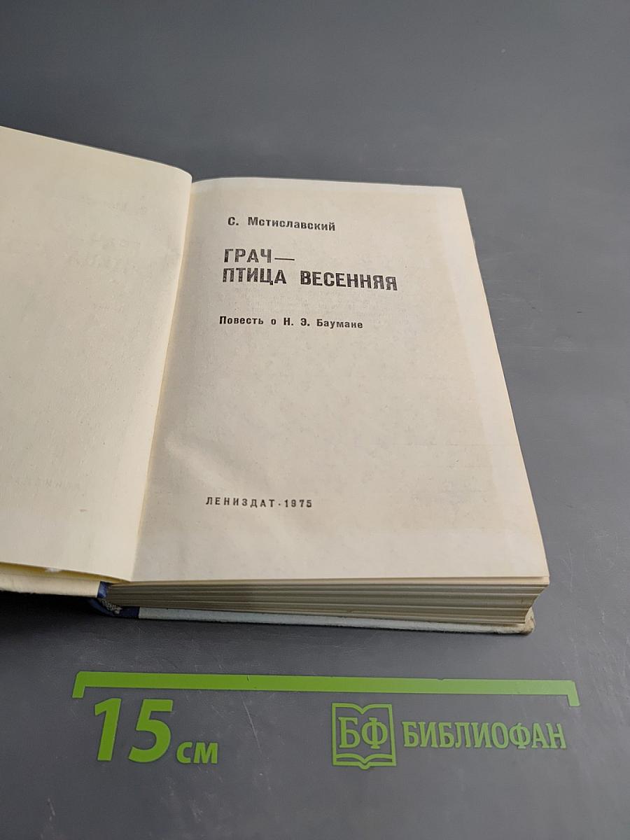 Грач — птица весенняя