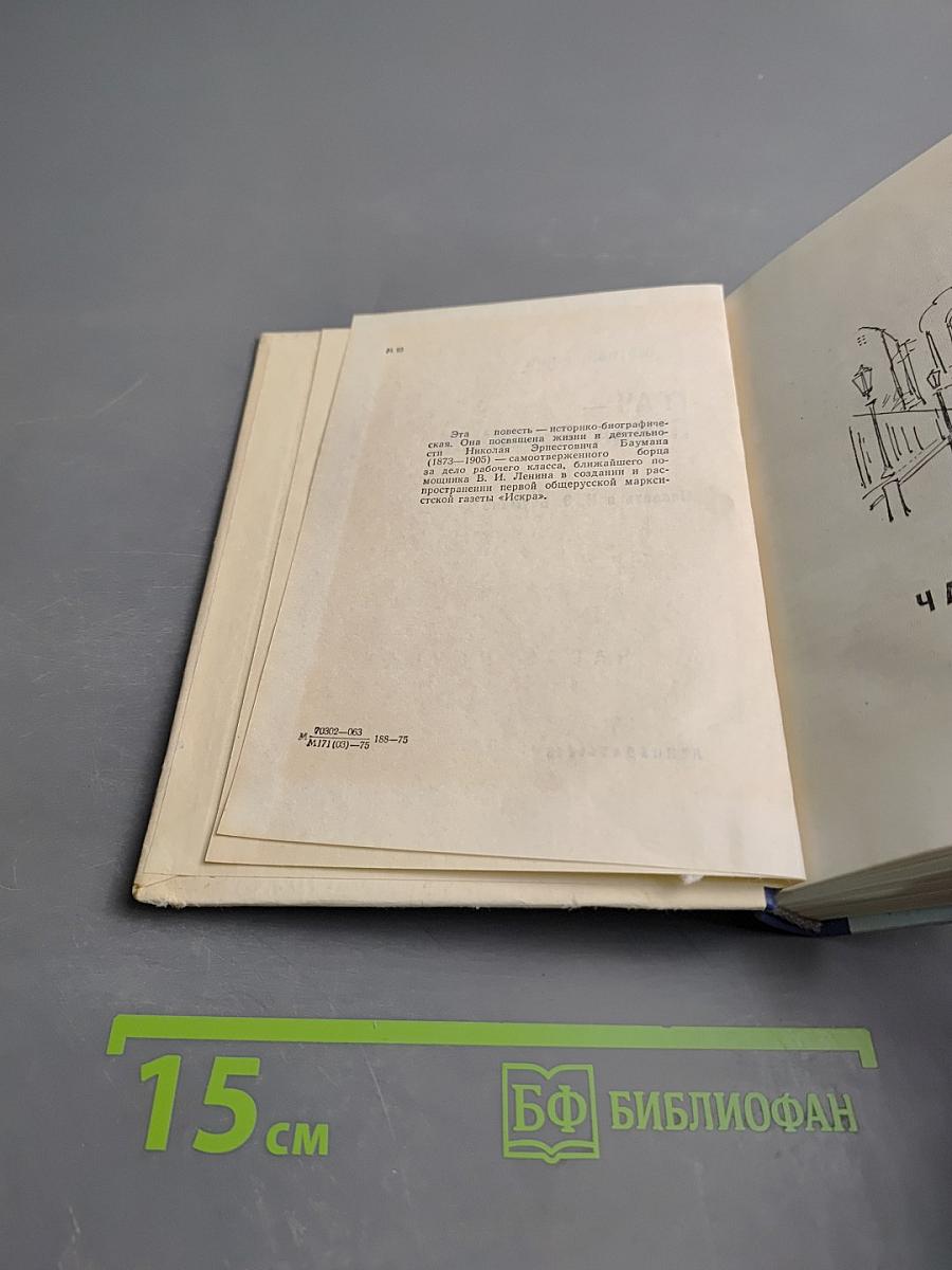 Грач — птица весенняя