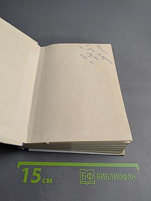 Грач — птица весенняя