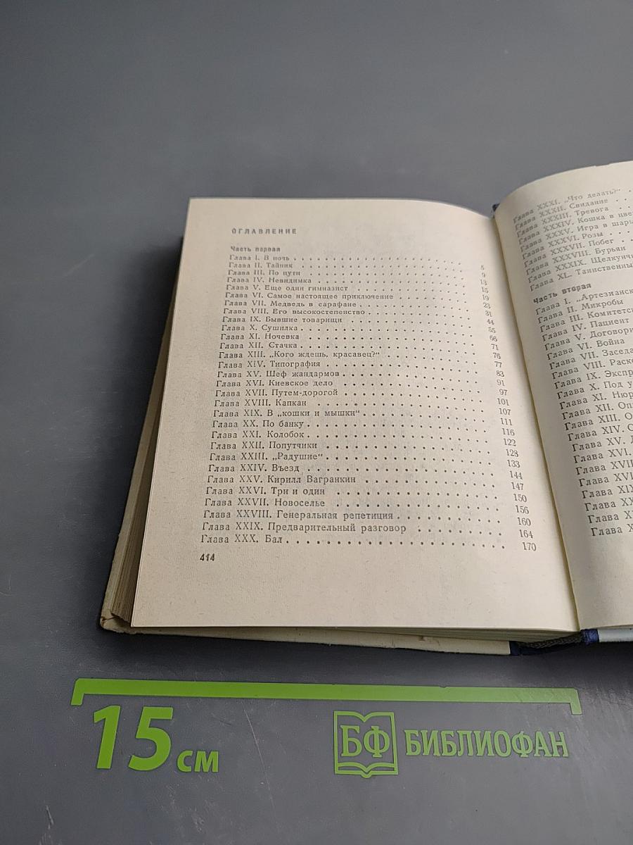 Грач — птица весенняя