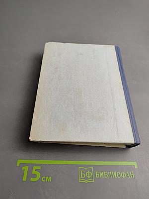 Грач — птица весенняя