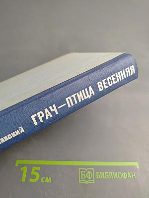 Грач — птица весенняя