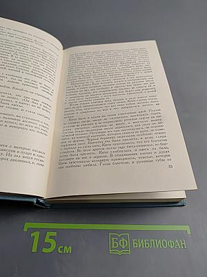 Анна Каренина. Том 8. Собрание сочинений в 14 томах