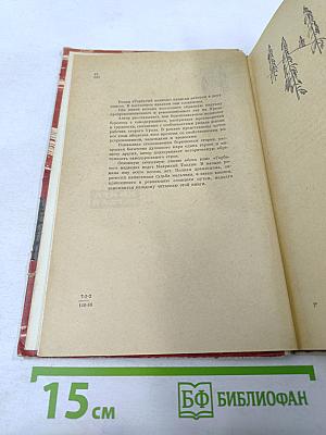 Горбатый медведь