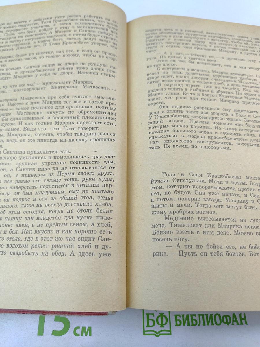 Горбатый медведь