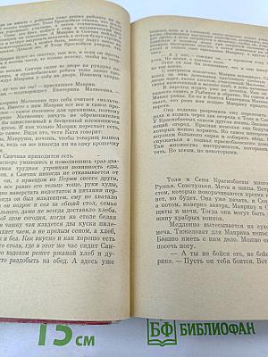 Горбатый медведь