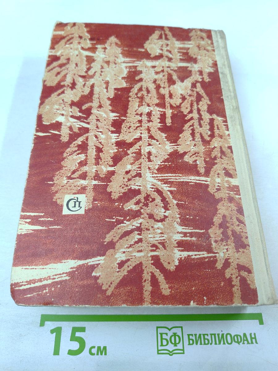 Горбатый медведь