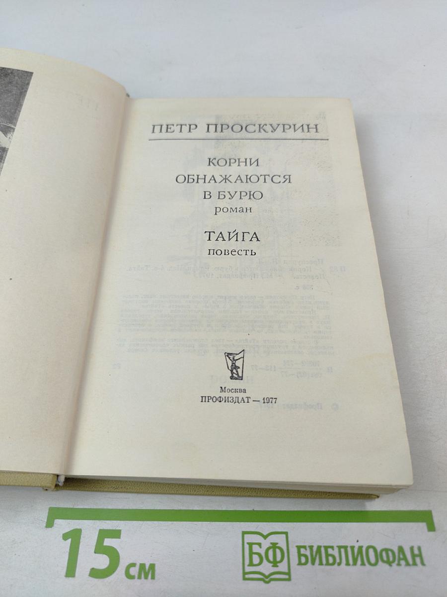 Корни обнажаются в бурю. Тайга