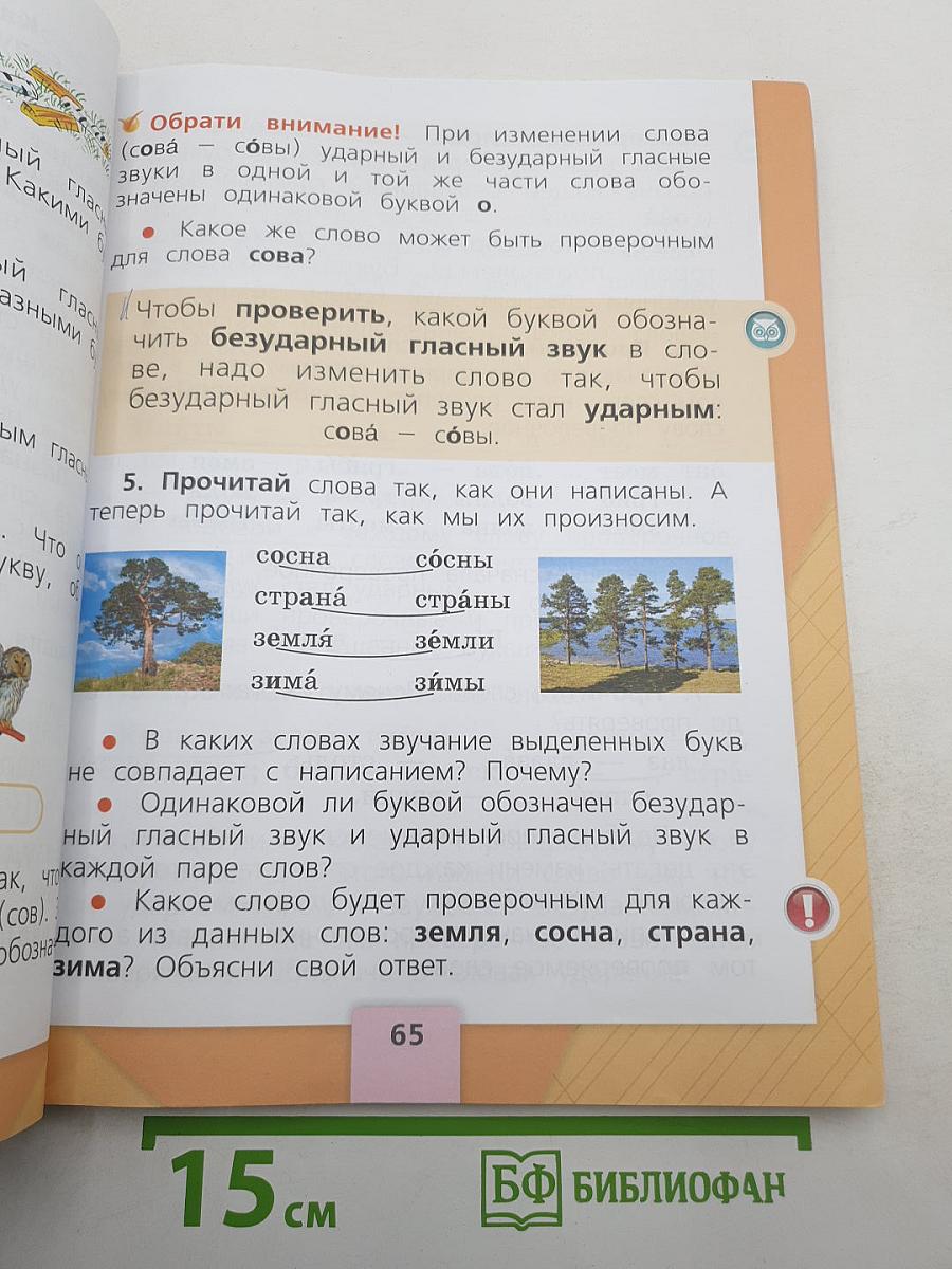 Русский язык. 1 класс