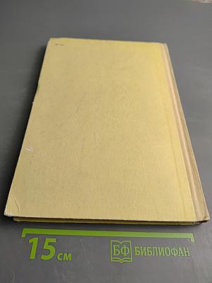 Микеланджело