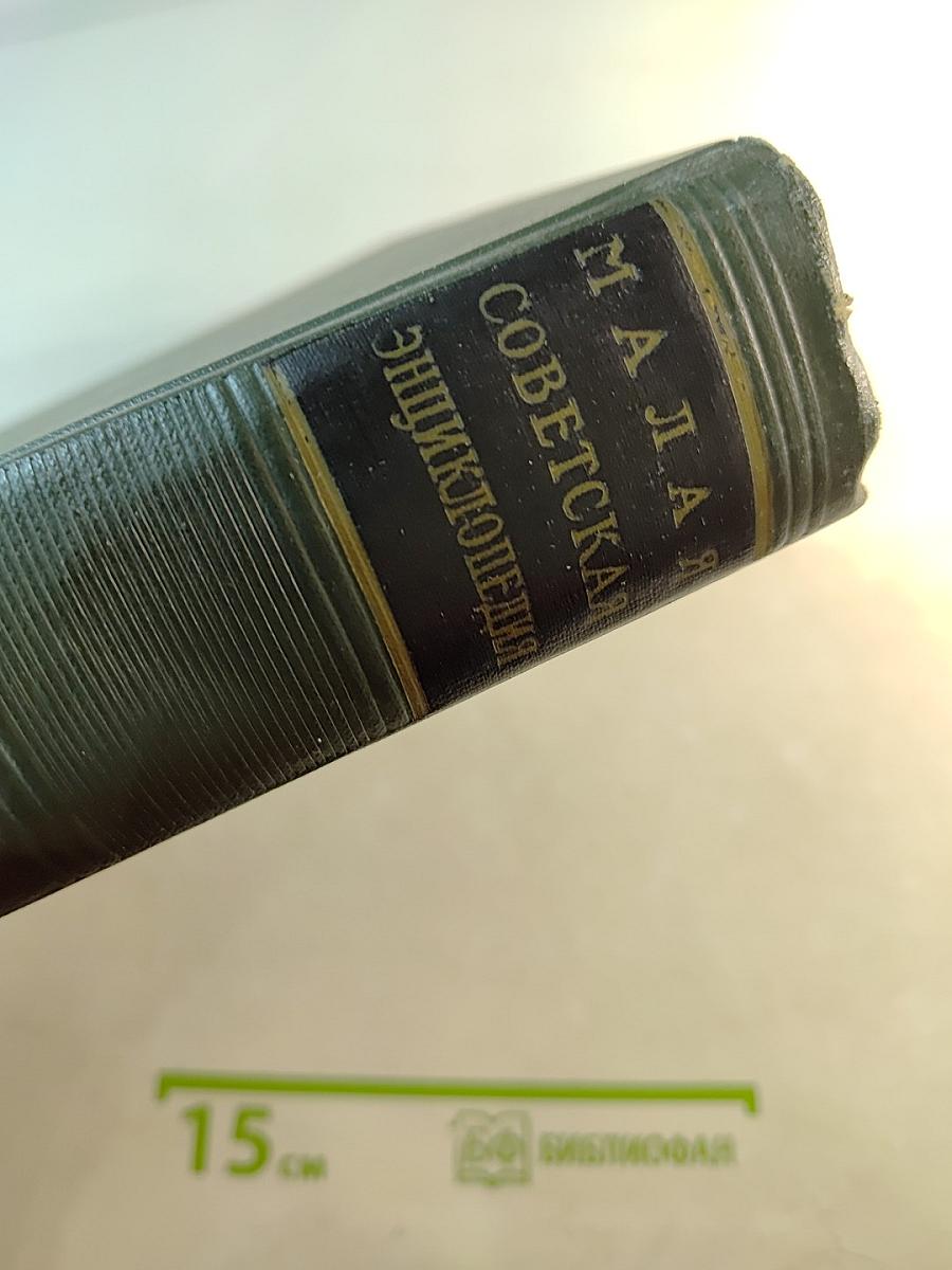 Малая советская энциклопедия, Том 10: Хайхэ—Я