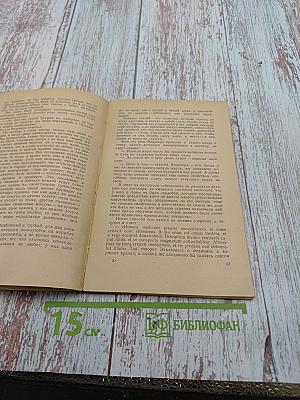 Назидательные новеллы