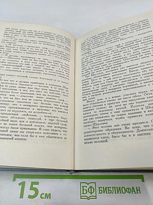 Теме. Родственные натуры